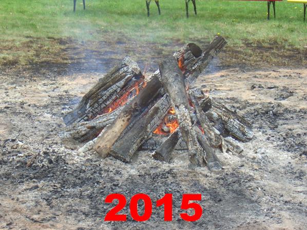 zu den Eins&auml;tzen 2015