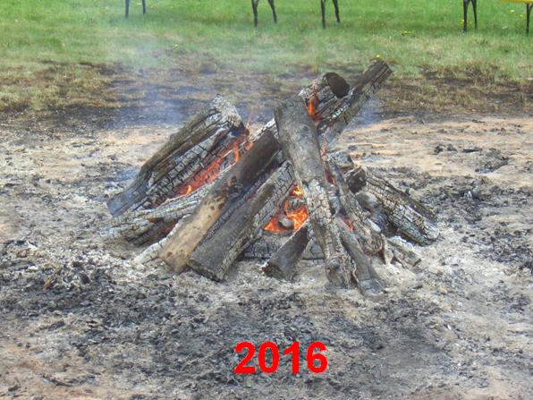 zu den Eins&auml;tzen 2016